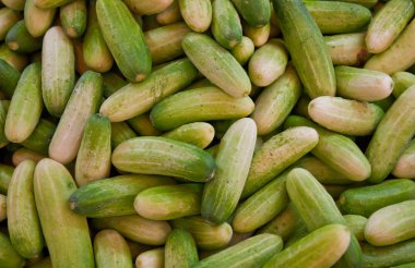 Salatalık piyasada Satılık.