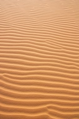 Kırmızı kum tepeleri Vietnam.