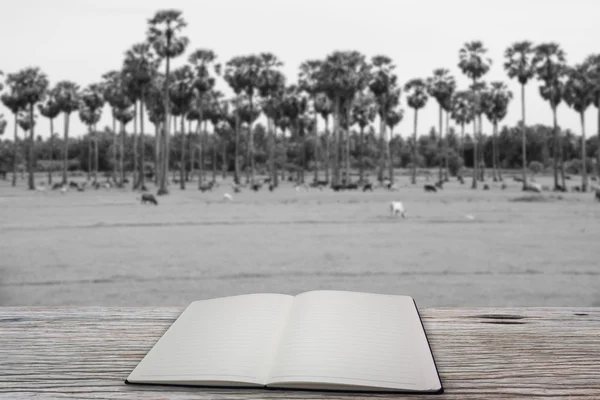 Ανοιχτό βιβλίο, λευκό και μαύρο. — Φωτογραφία Αρχείου