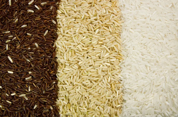 Três variedades de arroz . — Fotografia de Stock