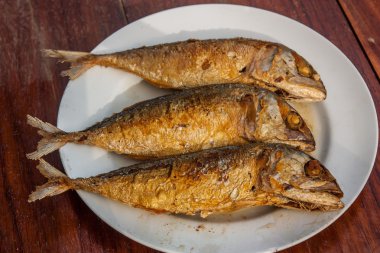 Kızarmış uskumru plaka.