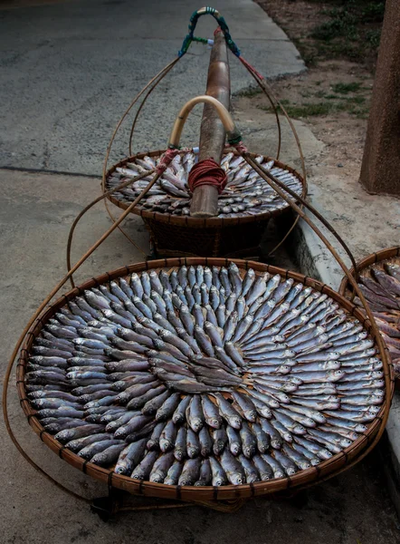 Висушена риба в Таїланді. — стокове фото
