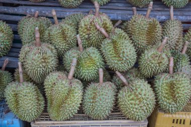 Durian, .