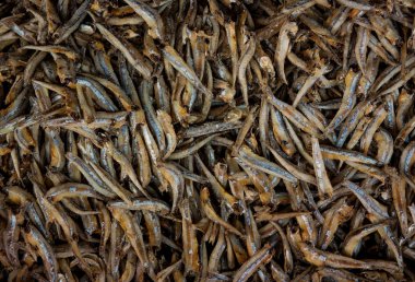 Asya mutfağında kullanılan küçük bir kuru balık.