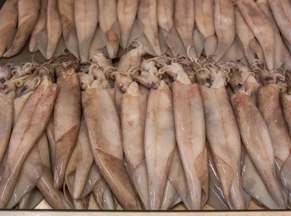 Färsk bläckfisk (bläckfisk) på fiskmarknad. — Stockfoto