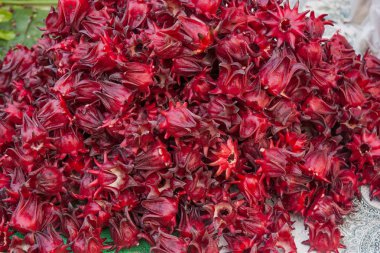 Birçok pazarda Roselle meyve (Hibiscus sabdariffa).