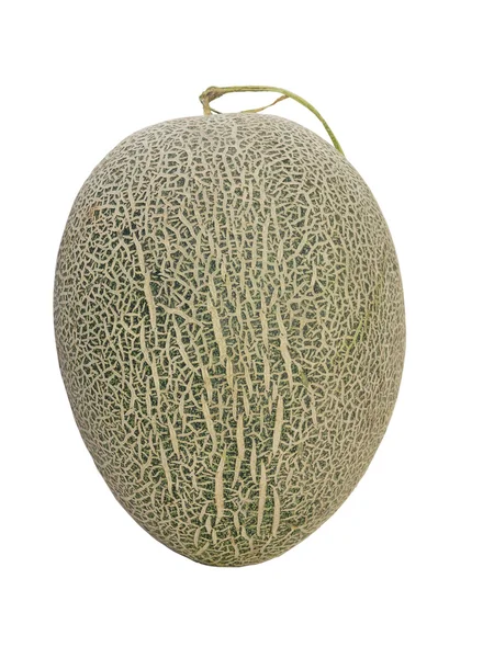 Mogen cantaloupemelon, närbild. — Stockfoto