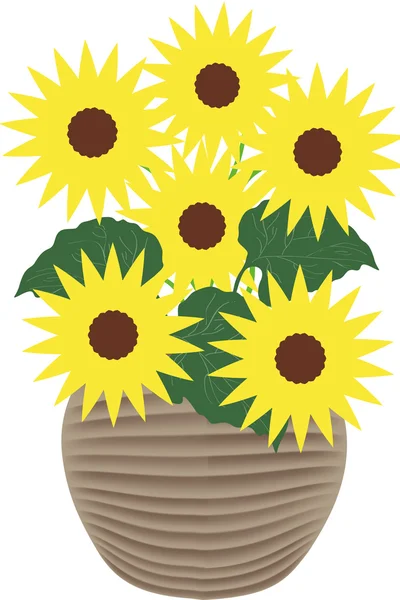 Słoneczniki - ilustracja — Zdjęcie stockowe