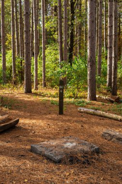 Illinois, Mason County, Sand Ridge Eyalet Ormanı 'nda kamp kurmuşlar.