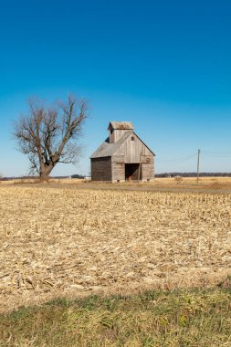 Çorak bir kış manzarasında ıssız bir mısır ambarı. Illinois, ABD.