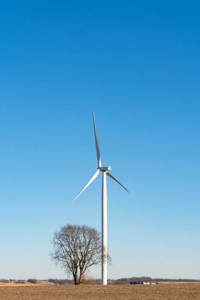 Turbina Viento Solitaria Que Contrasta Con Árbol Solitario Una Fría —  Fotos de Stock