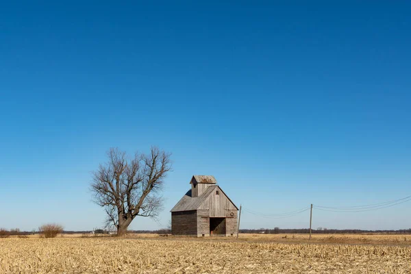 Granero Cuna Maíz Aislado Paisaje Invierno Estéril Illinois Estados Unidos — Foto de Stock