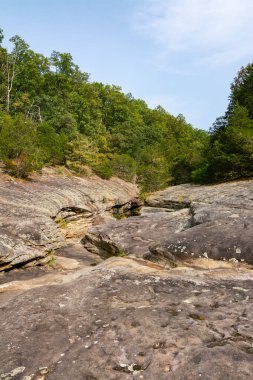 Çorak kaya oluşumları ve küçük dere Shawnee Ulusal Ormanı 'nın Bell Smith Springs bölgesindeki ağaçlar arasında akıyor..