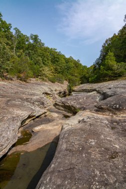 Çorak kaya oluşumları ve küçük dere Shawnee Ulusal Ormanı 'nın Bell Smith Springs bölgesindeki ağaçlar arasında akıyor..