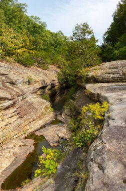 Çorak kaya oluşumları ve küçük dere Shawnee Ulusal Ormanı 'nın Bell Smith Springs bölgesindeki ağaçlar arasında akıyor..