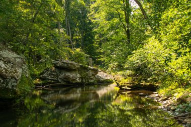 Güney Illinois 'deki Shawnee Ulusal Ormanı' nın Bell Smith Springs bölgesinde dere boyunca kaya oluşumları.
