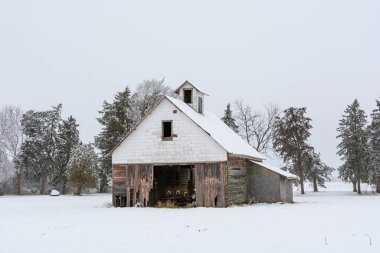 Soğuk ve sisli bir kış gününde karda eski bir ahır. LaSalle İlçesi, Illinois.