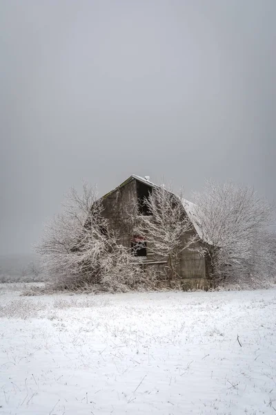 Velho Celeiro Madeira Rústico Neve Dia Inverno Frio Nebuloso Condado — Fotografia de Stock