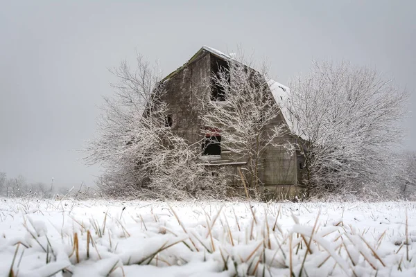 Soğuk ve sisli bir kış gününde karda eski bir ahır. LaSalle İlçesi, Illinois.