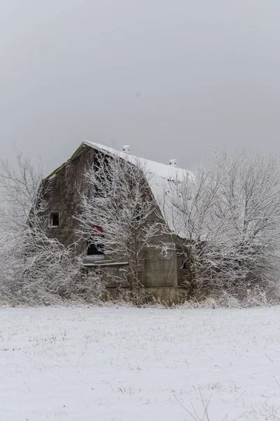 Soğuk ve sisli bir kış gününde karda eski bir ahır. LaSalle İlçesi, Illinois.
