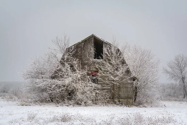 Soğuk ve sisli bir kış gününde karda eski bir ahır. LaSalle İlçesi, Illinois.