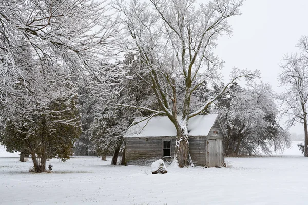 Soğuk ve sisli bir kış gününde karda eski bir ahır. LaSalle İlçesi, Illinois.