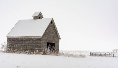 Soğuk ve sisli bir kış gününde karda eski bir ahır. LaSalle İlçesi, Illinois.