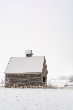 Soğuk ve sisli bir kış gününde karda eski bir ahır. LaSalle İlçesi, Illinois.