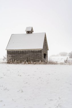 Soğuk ve sisli bir kış gününde karda eski bir ahır. LaSalle İlçesi, Illinois.