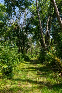 Belleview Eyalet Parkı ve Iowa 'da yürüyüş yolları..