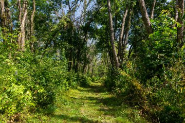 Belleview Eyalet Parkı ve Iowa 'da yürüyüş yolları..