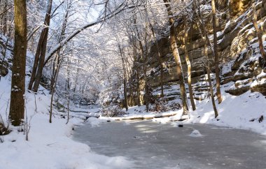 Sabahın erken saatleri karla kaplı patikalarda parlıyor. Matthiessen Eyalet Parkı, Illinois, ABD.