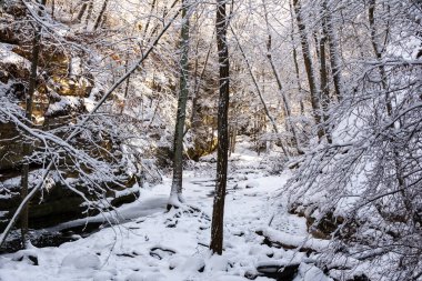 Sabahın erken saatleri karla kaplı patikalarda parlıyor. Matthiessen Eyalet Parkı, Illinois, ABD.