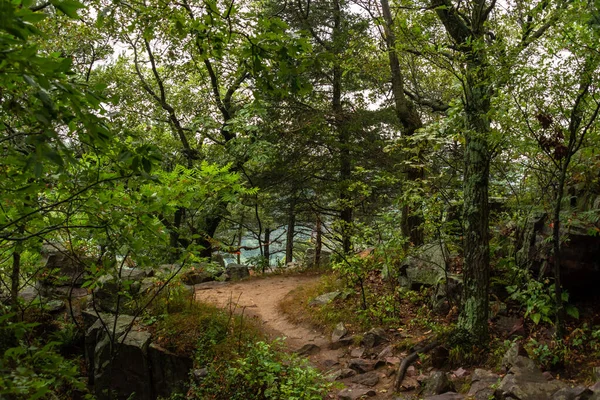 Trail Naar Devils Doorway Devils Lake State Park Wisconsin Stockfoto