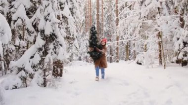 Noel yaşam tarzına hazırlan. Çekici genç bir kadın, karlı kış ormanlarında bir Noel ağacı taşıyor. Kadın bir Noel ağacı kesecek. Yavaş hareket, 4K