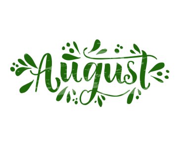 Beyaz arkaplanda Ağustos harfi, vektör illüstrasyonu