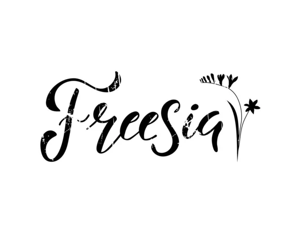 Freesia Lettering Vector Illustration — Διανυσματικό Αρχείο