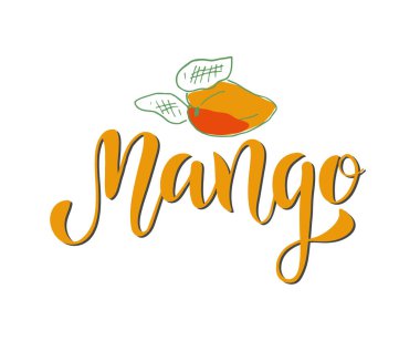 Beyaz arkaplanda mango metni, vektör illüstrasyonu 