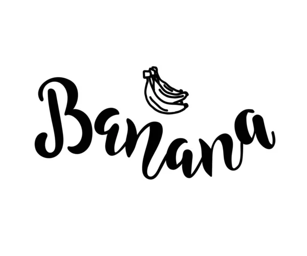 muz metni, vektör illüstrasyonu  