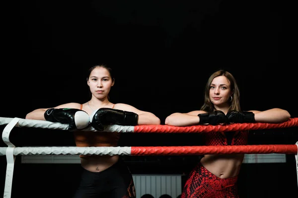 Duas atletas femininas em luvas de boxe posando no ringue antes da luta — Fotografia de Stock