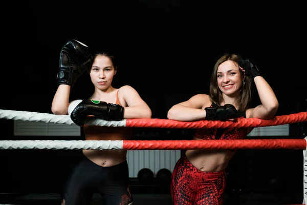 Duas meninas ficam no ringue com luvas de boxe e se preparam para o treinamento de boxe. Conceito de artes marciais — Fotografia de Stock