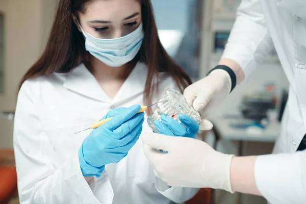 De arts in witte handschoenen toont de assistent hoe de tanden goed schoon te maken — Stockfoto