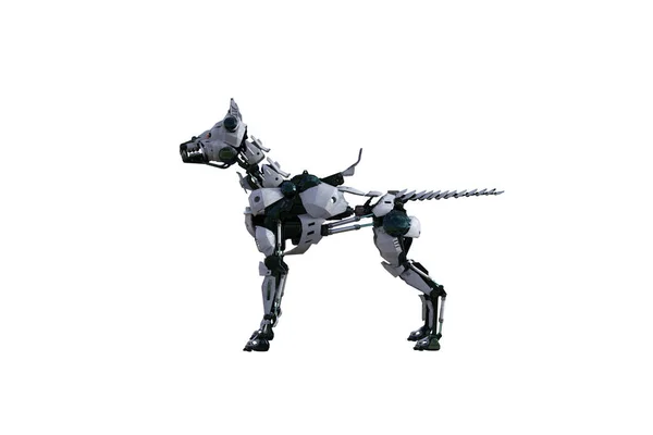 Kolaj Yapmak Için Çeşitli Pozları Olan Bir Cyborg Köpeği Siyah — Stok fotoğraf