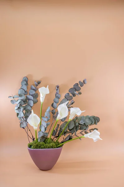 Obrázek Moderní Umění Květiny Dekorace Ikebana Pro Byt Kancelář Pohlednice — Stock fotografie