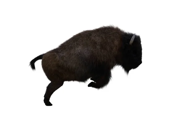 American Bison Different Poses Isolated White Background Figure Clip Art — Stock Photo, Image