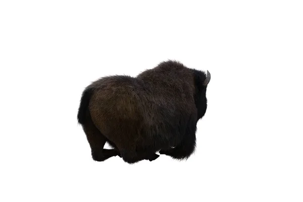 Amerikanische Bisons Verschiedene Posen Isoliert Auf Weißem Hintergrund Figurenclip Art — Stockfoto