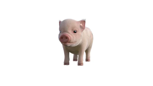 Fury Piglet Poses Your Illustrations Cartoon Figure Photo Realistic Illustration — Stock Photo, Image