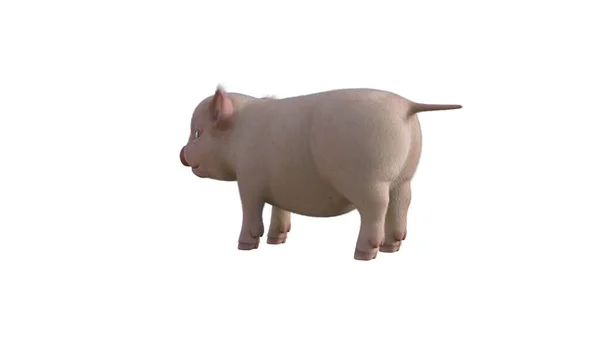 Fury Piglet Poses Your Illustrations Cartoon Figure Photo Realistic Illustration — Stock Photo, Image