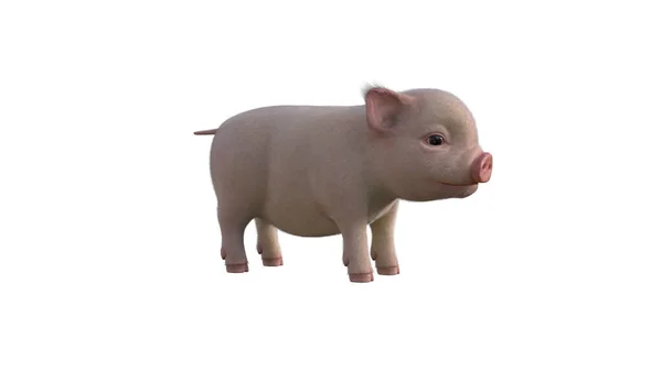 Fury Piglet Posiert Für Ihre Illustrationen Cartoon Figure Fotorealistische Illustration — Stockfoto