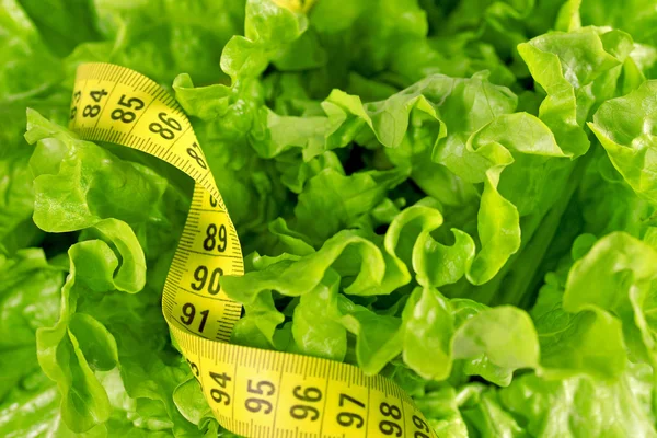 Salat und Maßband Stockbild